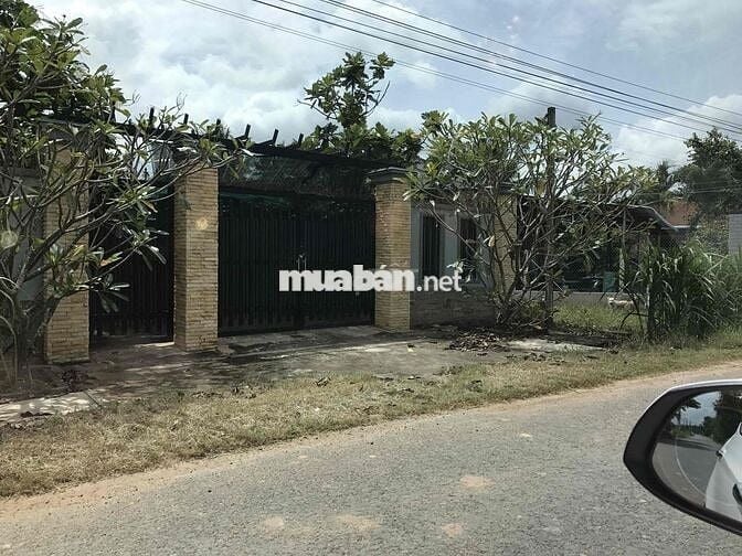 đất MT nhựa lớn kinh doanh mọi ngành nghề….