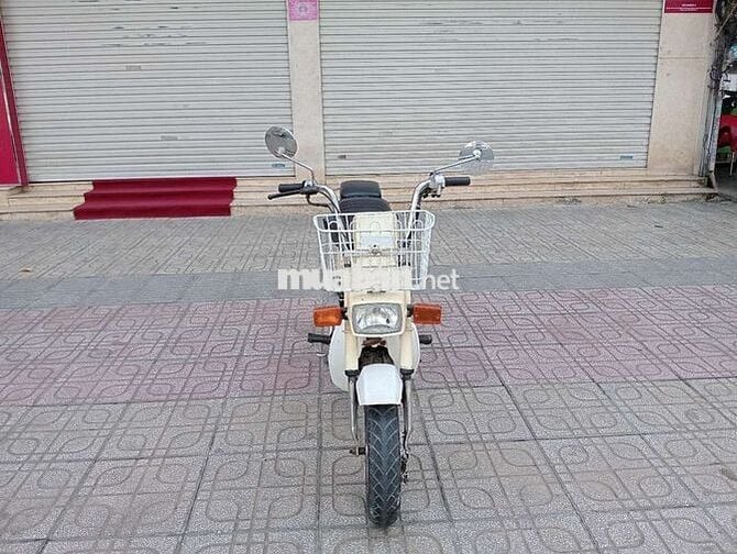 Honda Chaly 1984 Trắng kem