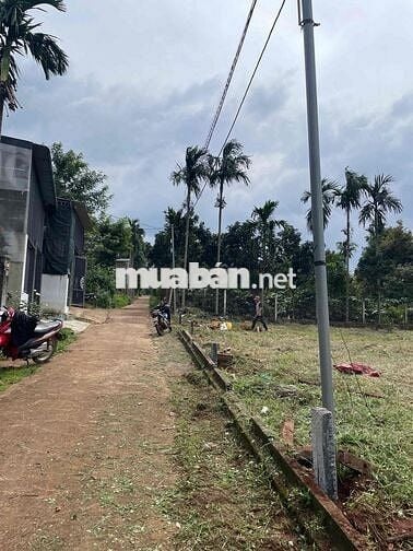 Tìm surius xăg cơ