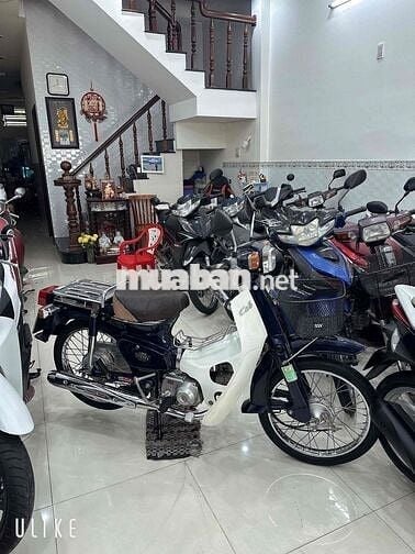 CUP HALIM 50cc ( Hàn Quốc ) BS: 65 Cần Thơ