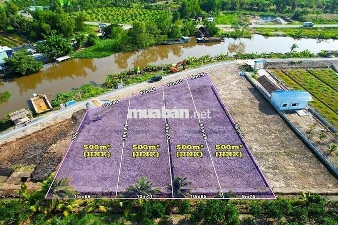 Đất vườn view sông lên full thổ ở Long An