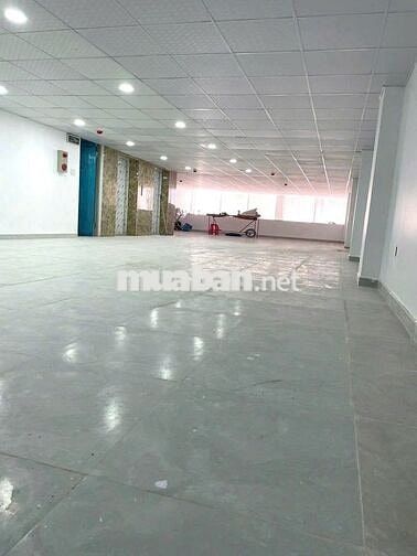 Cho Thuê Nhà Lớn Đường Bạch Đằng, Tân Bình ( 2 Thang Máy + PCCC Full )