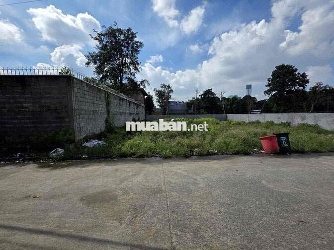 Đất gần BigC GO, P Đông Hoà, TP Dĩ An.