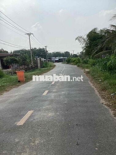 Bán đất mặt tiền đường cây gõ an phú củ chi