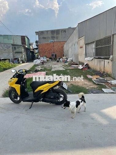 Đất thổ cư 1/Hà Duy Phiên-Bình Mỹ-Củ Chi.Dt 123m2 full thổ cư~2,2ty