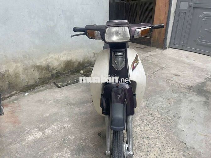 Dream việt đời đầu biển Hà Nội