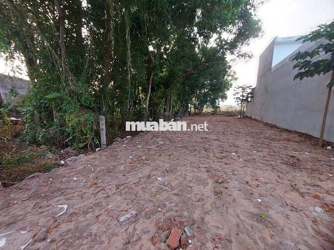 Bán đất ful thổ Phạm Thị Thàng,Củ Chi, SHR,DT 175m2 giá chỉ 1.150 tỷ