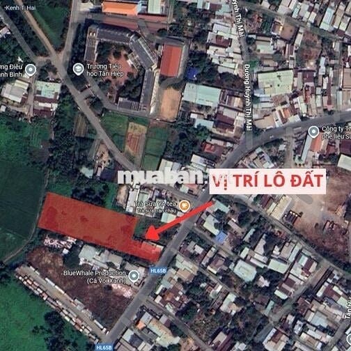 ĐẤT 2 MẶT TIỀN – 2.368M², CÓ 1.368M² THỔ CƯ