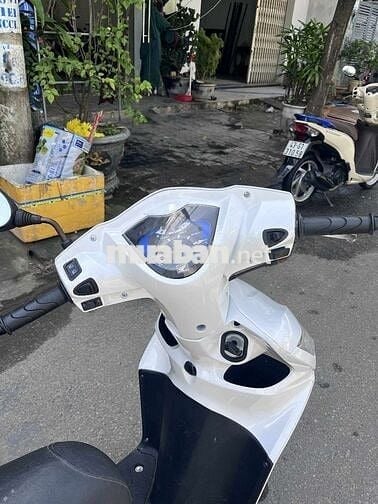 Honda Vision 2013 Trắng