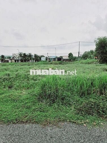 Chính chủ gửi bán, 5x22 giá 990 triệu, dường thông, shr, Đức Hòa Đông