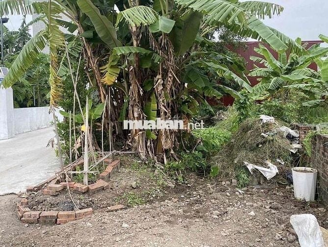 Đất 130m2 ngang 5m HXH 7m Chùa Nghèo, An Đồng 3,5 tỷ