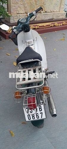 Honda Cup Xanh lá cây, Trắng