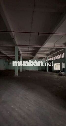 Kho đẹp cần cho thuê gấp ở Nguyễn Tất Thành diện tích 300m2
