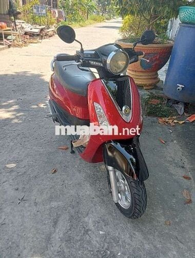 Elizabeth đỏ candy