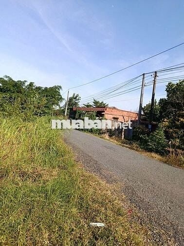 Bán gấp đất gần chợ Phước Thạnh, Tây Ninh giá rẻ