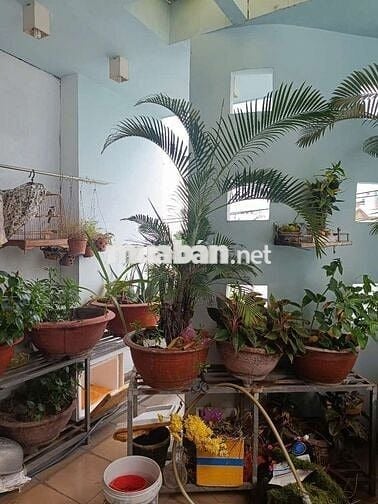 MẶT TIỀN ĐƯỜNG CÁCH MẠNG KHU DÂN CƯ HIỆN HỮU TIỆN LỢI CHO MỌI THỨ