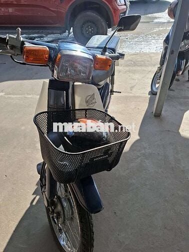 Honda cuptum Cub Xanh trắng