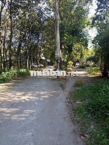 Bán đất khu 6 định hòa tdm bình dương