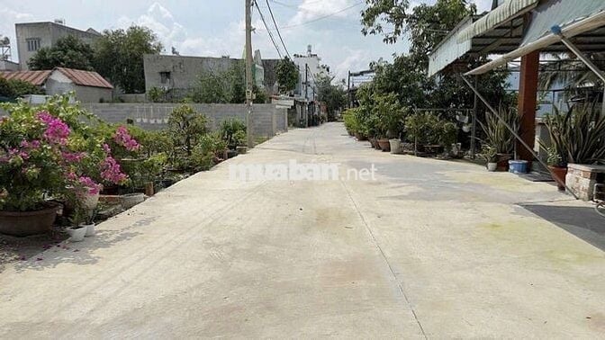 Đất sổ hồng riêng xây dựng hoàn công thới tam thôn hóc môn