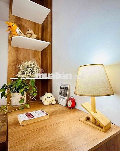 Chính chủ- CHDV 100% mới đẹp- Bàu Cát 5-Tân Bình-ngay chợ, công viên