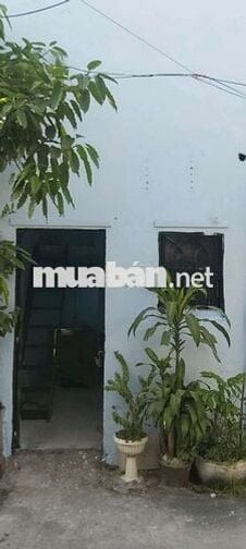 Cho thuê trọ studio, 2,5tr, mt gò vấp