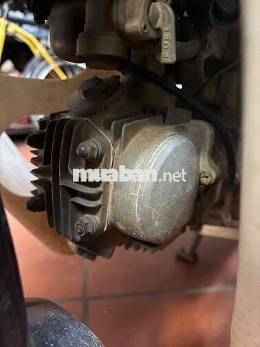 nhà thừa con cub zin chia lại