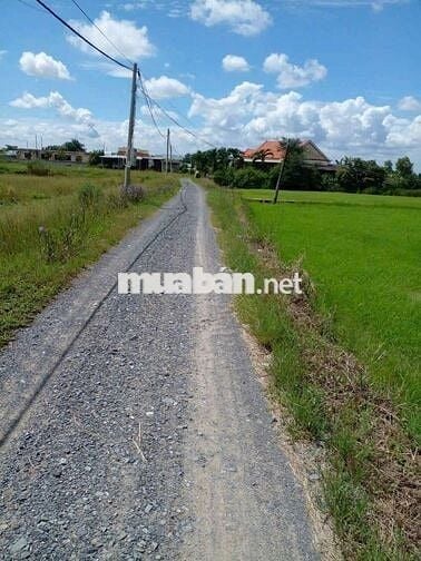 Định cư_bán Rẻ đất nhà có được kv Sinh thái An nhàn HƯNG LONG H.BC HCM