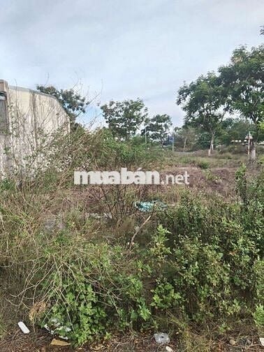 Bán lô đất đẹp Hòa Hải Ngũ Hành Sơn Đường 7m.5