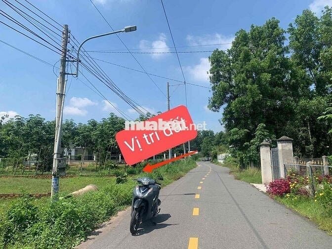 590TR RA NHANH ĐẤT 570M2 LAI UYÊN BÀU BÀNG SẴN THỔ CƯ-MT ĐƯỜNG NHỰA 8M