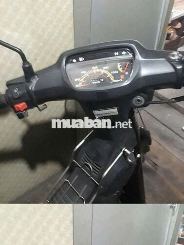 Dream lùn thái biển 4 số