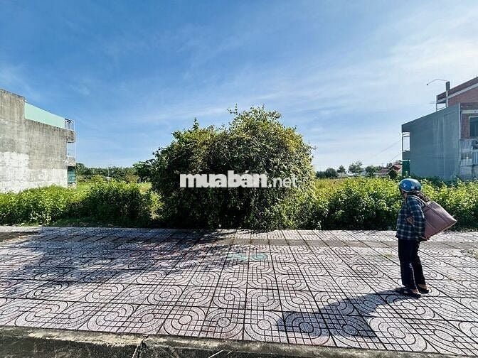 Chuyển nhượng đất nền khu hành chính tỉnh Vĩnh Long