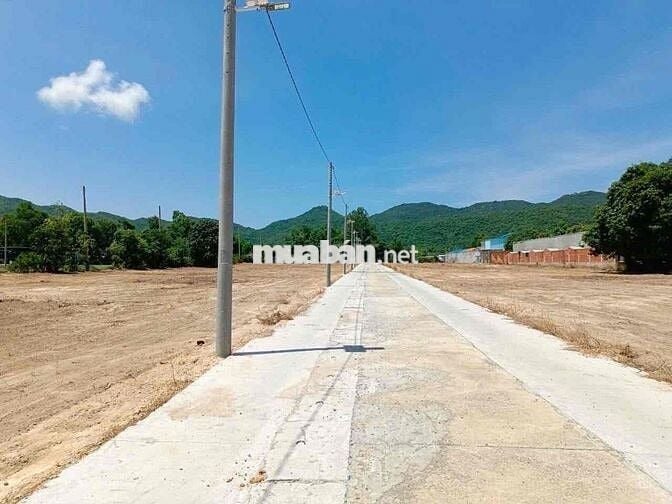 Đất Trung Tâm Thị Trấn Long Hải