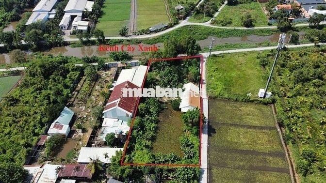 Đất đẹp giá rẻ mtien rạch cây xanh