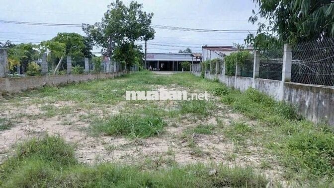 🔥 Bán đất đường nhánh Hồ Văn Tắng – 5x25m – SHR – Giá 1 tỷ 550 triệu