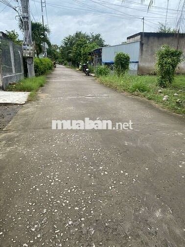 Hàng Ngộp. Siêu Rẻ. HXH Đường DT855. Bình Thành. Giồng Trôm. Bến Tre