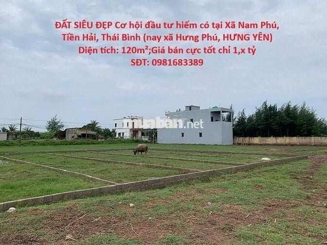 Bán đất tại Xã Nam Phú, Tiền Hải, Thái Bình (nay xã Hưng Phú,HƯNG YÊN)