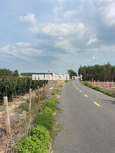 Bán 10m mặt tiền đường trà cổ, cách KDL suối mơ 500m