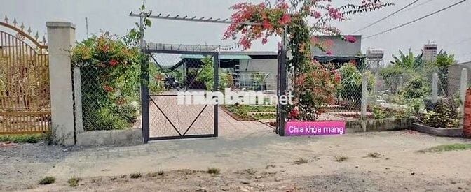 “Một góc sống xanh đúng nghĩa”