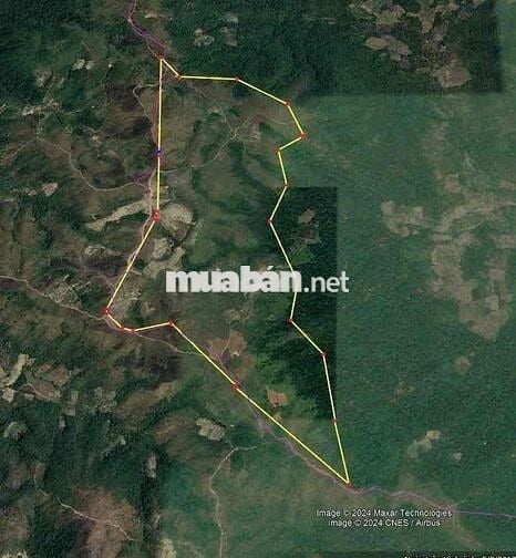 CẦN CHUYỂN NHƯỢNG DỰ ÁN 423,21 HA – TIỀM NĂNG LỚN – PHÁP LÝ ĐẦY ĐỦ – G