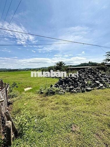 Cần tiền bán gấp lô đất mặt tiền tỉnh lộ 2