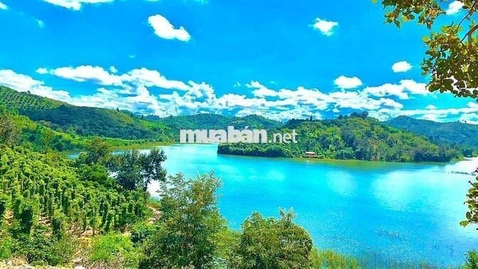 Chính chủ bán đất rẫy xã  Ea Bông  - Krong Ana _ Đăk Lăk