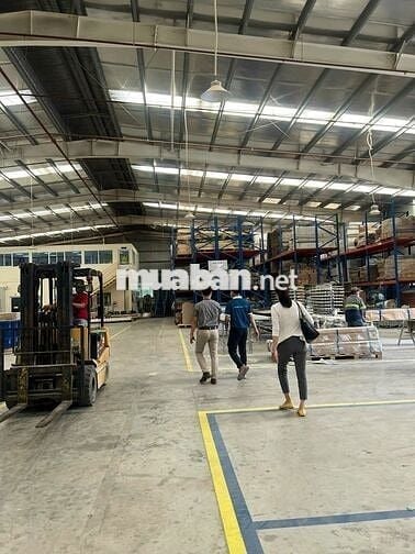 Bán kho xưởng 17.000m2 tại KCN Hòa Bình, Long An, giá bán: 120 tỷ (TL)