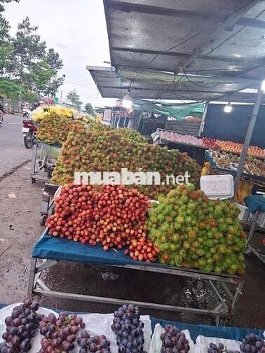 Bán nhà đất mặt tiền gần Chợ Cái Tắc, Cần Thơ