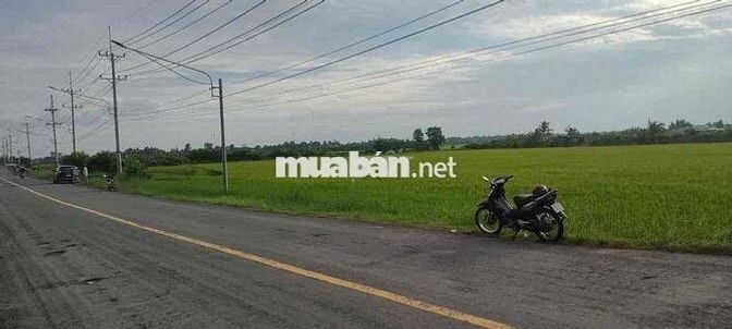 Đất chính chủ cần bán MT DT872B, 1ha có 2000 tc, chỉ hơn 9 tỉ