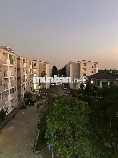 Xả lỗ chung cư về quê trồng rau