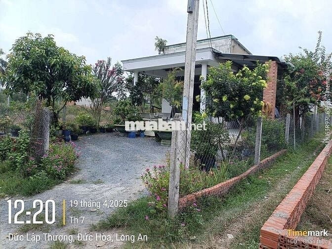 Nhà Đất 10 x 60 full thổ chính chủ