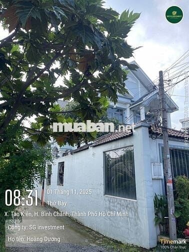 Chính chủ cần bán đất trông cây lâu năm Bình Chánh, HCM, DT 1.062m2