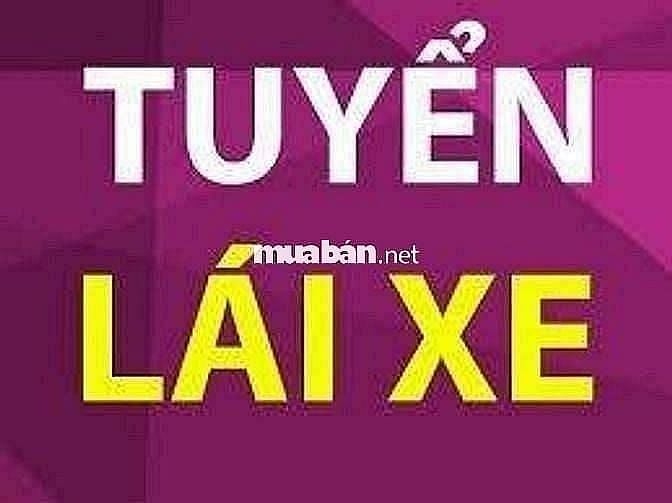 Cần tuyển 5 tài xế xe tải + 10 công nhân theo xe tải vận chuyển nhà