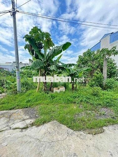 Đất 100m2 ngang 5m MT trục thôn Bạch Mai, Đồng Thái 3,25 tỷ