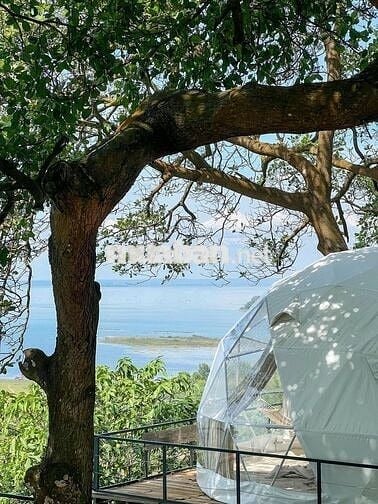 🌿CHỈ 995 TRIỆU/1100m² VƯỜN CỔ THỤ ĐẤT BAZAN, ÔM SUỐI - VIEW HỒ TRỊ AN